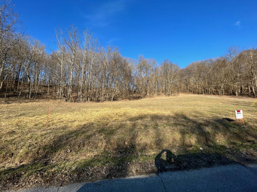 0 GRAVEL HILL RD, BETHPAGE, TN 37022, photo 1 of 3