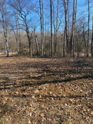 10 LOT OWNERS ROAD, WESTPOINT, TN 38486 - Image 1