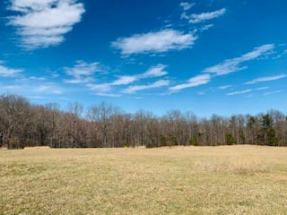 607 OPEN RANGE RD, SPENCER, TN 38585, photo 2 of 6