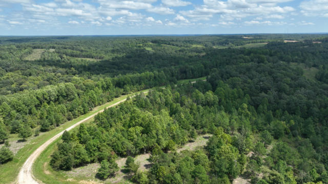 0 FREEDOM RIDGE, INDIAN MOUND, TN 37079 - Image 1