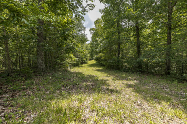 800 WARREN LN, HURRICANE MILLS, TN 37078 - Image 1