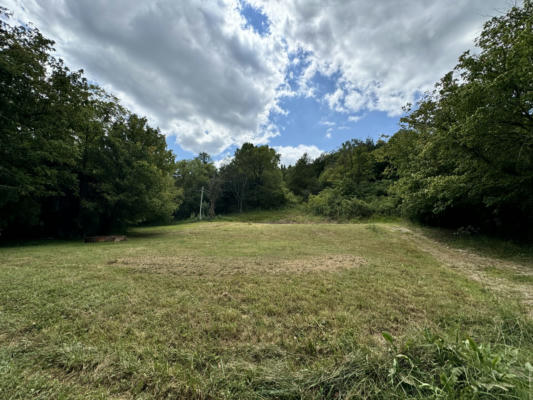 39 DOG BRANCH RD S, PLEASANT SHADE, TN 37145 - Image 1