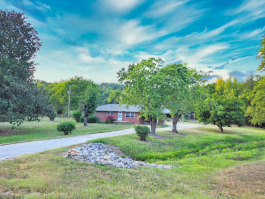 8000 BEECH CREEK RD, CLIFTON, TN 38425 - Image 1