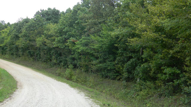 0 OLD HIGHWAY 13, HURRICANE MILLS, TN 37078 - Image 1